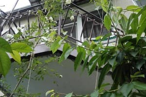 Дача у Михалыча 8