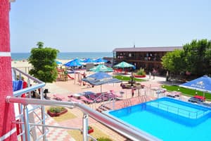 Дельфин на ст. Солнечной 15