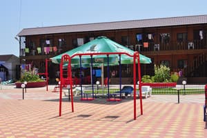 Дельфин на ст. Солнечной 21