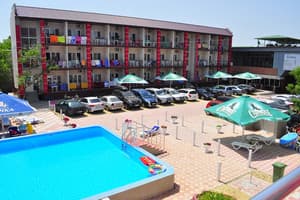 Дельфин на ст. Солнечной 30