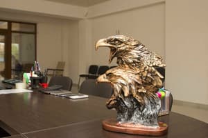 Горный Орел 9