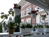 Villa Anna 2