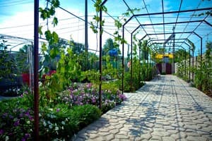 Гостиный двор Зеленый Остров