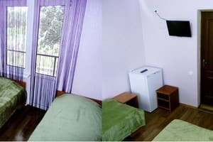 Гостиный двор Зеленый Остров. Стандарт трехместный (1-й этаж) 1